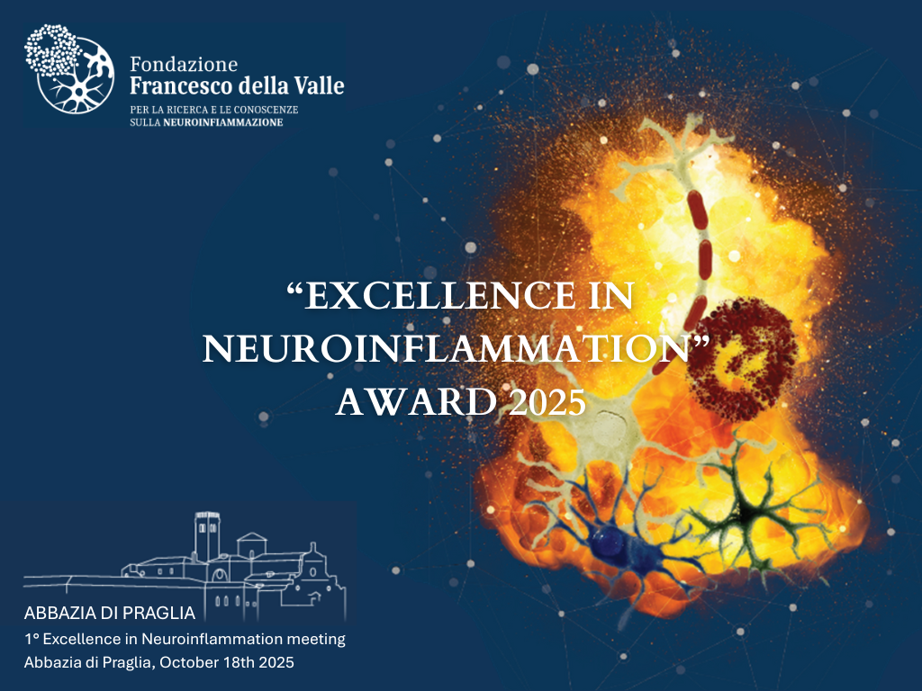 Excellence in Neuroinflammation Award 2025 – The Winners